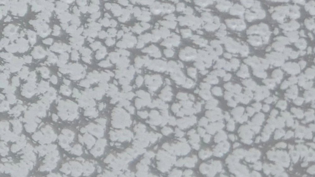 Antique sliver white