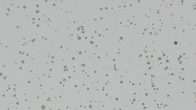 PVDF-Gray flower
