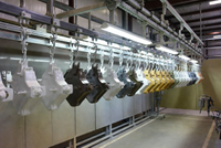 //joorwxhomnrll5p.ldycdn.com/cloud/prBpnKmmliSRplolnijokm/Industrial-Powder-Coating-Workshop.jpg